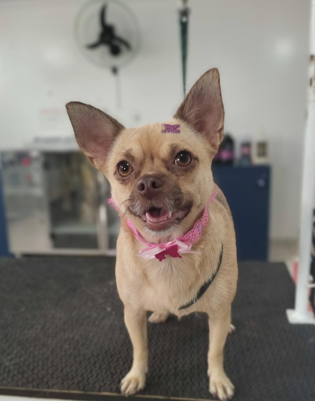 WhatsApp Image 2022-02-07 at 13.39.18.jpeg