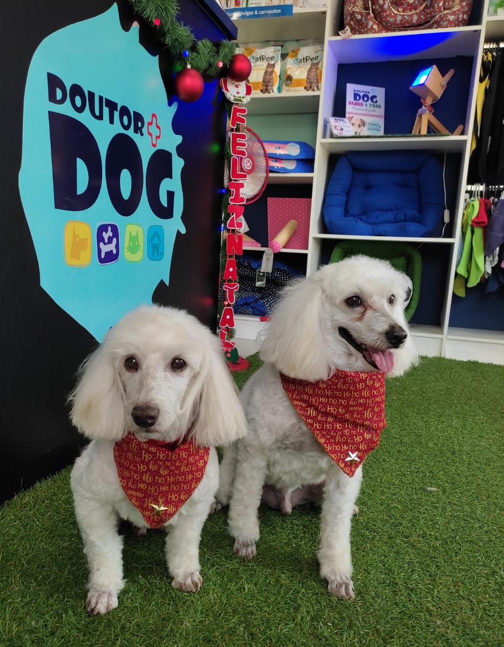 WhatsApp Image 2022-02-07 at 13.28.27 (6).jpeg