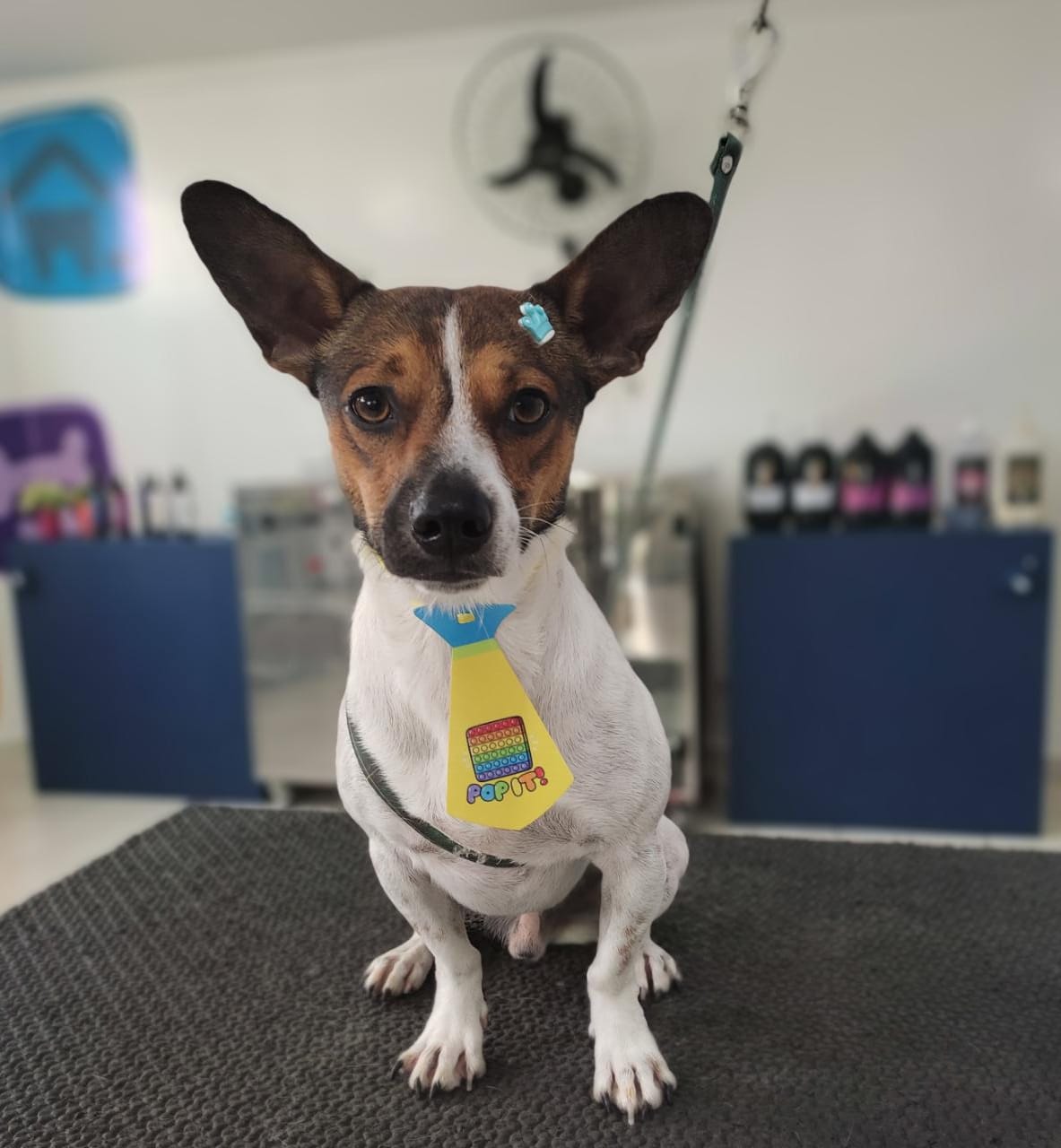 WhatsApp Image 2022-02-07 at 13.38.51.jpeg