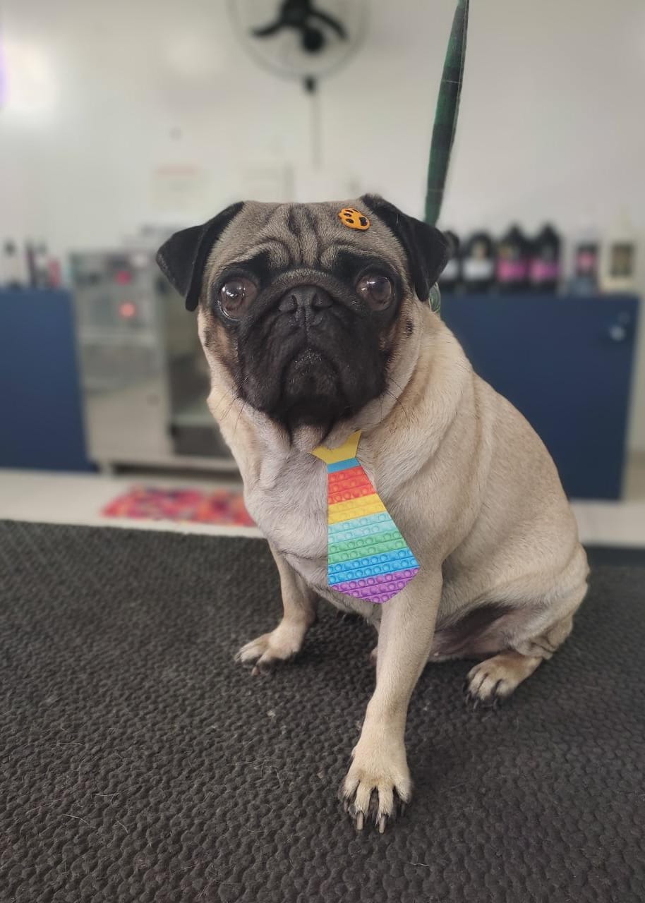 WhatsApp Image 2022-02-07 at 13.38.38.jpeg