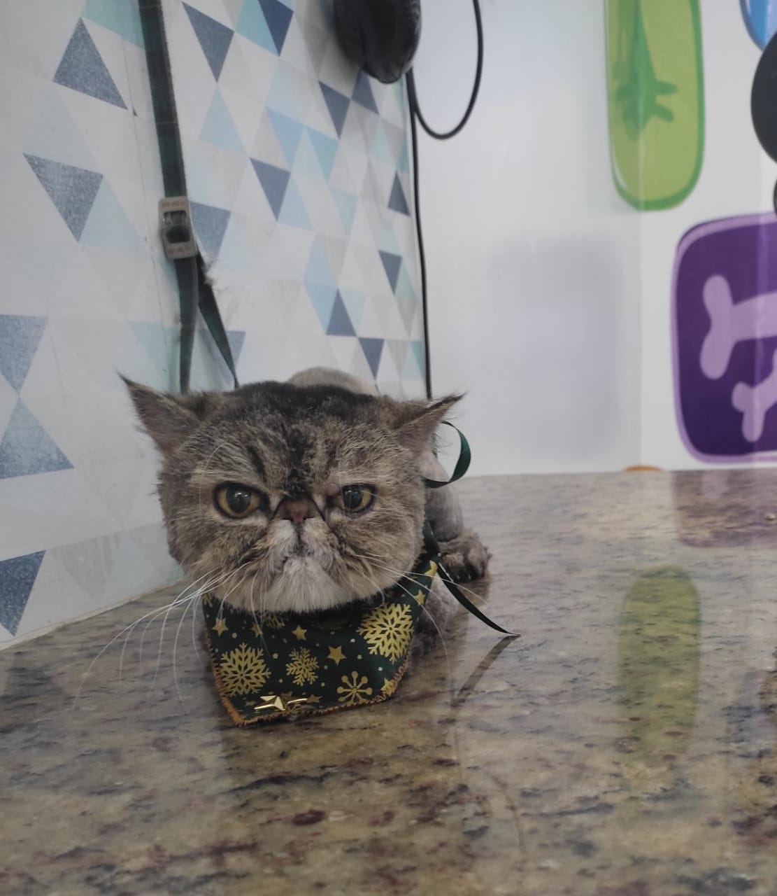 WhatsApp Image 2022-02-07 at 13.28.27 (1).jpeg