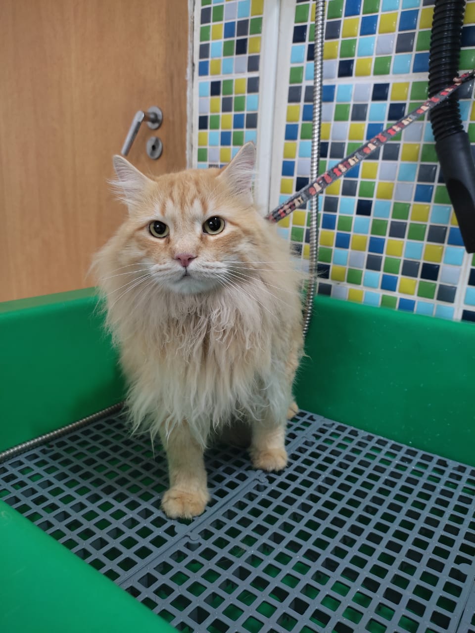 WhatsApp Image 2022-02-07 at 13.28.27 (3).jpeg