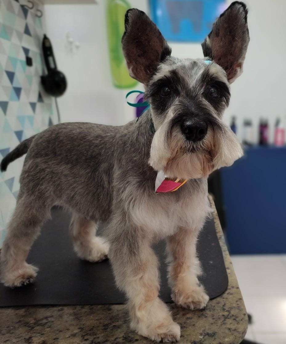 WhatsApp Image 2022-02-07 at 13.28.26 (1).jpeg