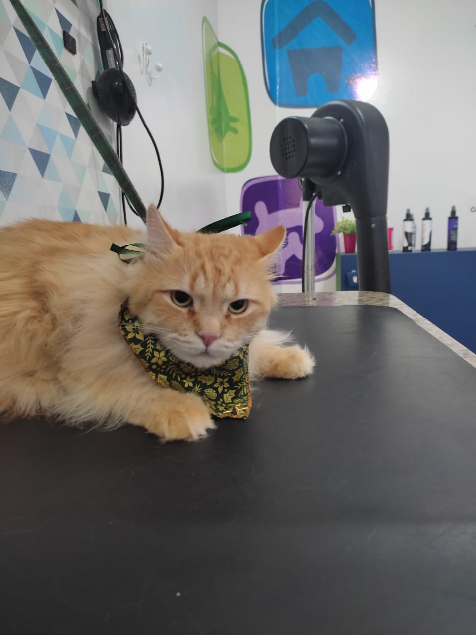 WhatsApp Image 2022-02-07 at 13.28.27 (2).jpeg