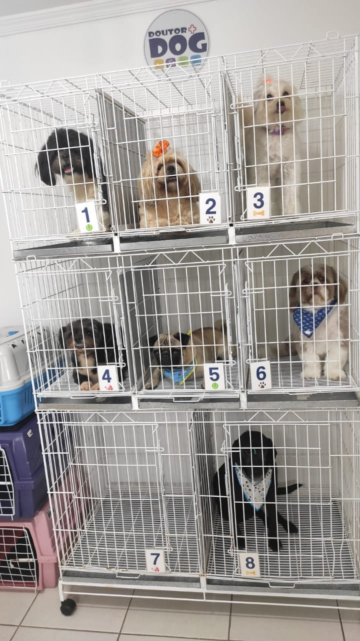 WhatsApp Image 2022-01-21 at 13.54.41 (2).jpeg