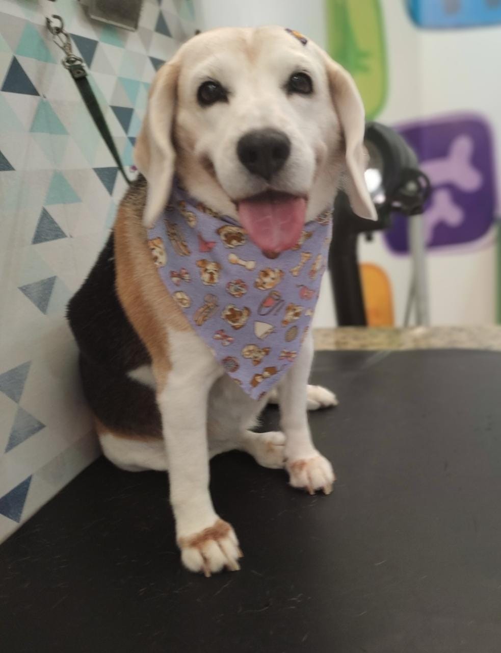 WhatsApp Image 2022-02-07 at 13.28.26 (2).jpeg