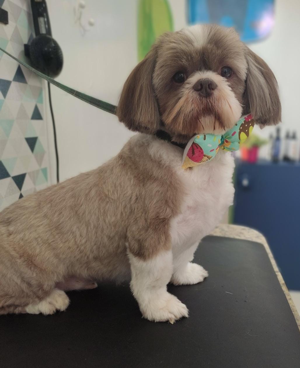 WhatsApp Image 2022-02-07 at 13.28.26.jpeg